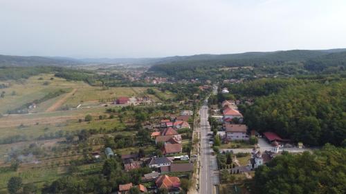 DCIM105MEDIADJI_0264.JPG