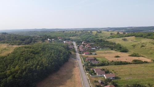 DCIM105MEDIADJI_0265.JPG